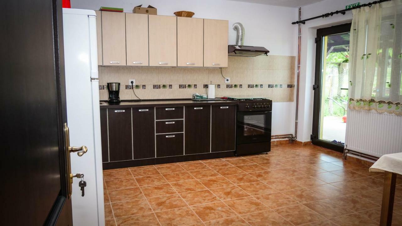 Pensiunea Gradinarilor Cu Ciubar Si Statie De Incarcare Electrica Auto Comanesti  Экстерьер фото